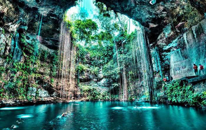 Cenote visited during the conference excursion